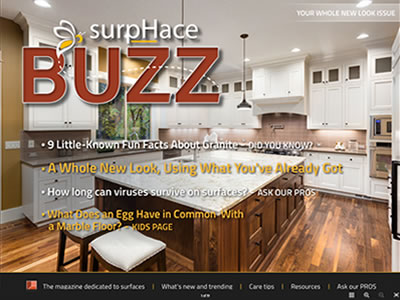 Surface BUZZ